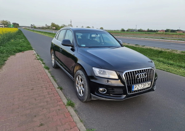 Audi Q5 cena 58900 przebieg: 206000, rok produkcji 2013 z Kolbuszowa małe 56